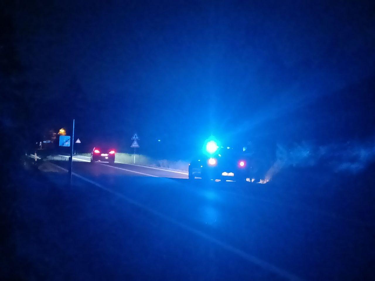 Immagine per Capriolo sbuca nella notte sulla statale, incidente con moto a Gabria